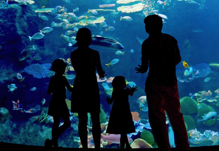 family_aquarium_M